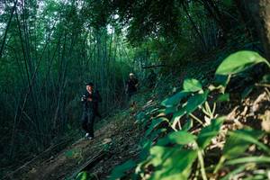 BIB: 
                            <button type="button" onclick="openModal(28124455)" class="btn btn-primary btn-sm float-right btn-popup" data-toggle="modal" data-target=".modal-high-quality">
                        <i class="fas fa-shopping-cart"></i> Add to Cart
                    </button>
                                            <button type="button" onclick="isThisMe(28124455, true)" class="btn btn-success btn-sm float-right btn-popup btn-isme hidden" data-toggle="tooltip" data-placement="bottom" title="นี่คือรูปของคุณใช่ไหม คลิกที่นี่เพื่อเอาเข้าอัลบั้ม">
                        <i class="fas fa-plus"></i> Add to album
                    </button>
                    <button type="button" onclick="isThisMe(28124455, false)" class="btn btn-warning btn-sm float-right btn-popup btn-isnotme hidden">
                        <i class="fas fa-ban"></i> Remove from album
                    </button>